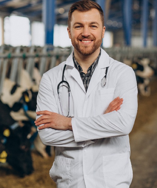 Veterinary-in-cowshed
